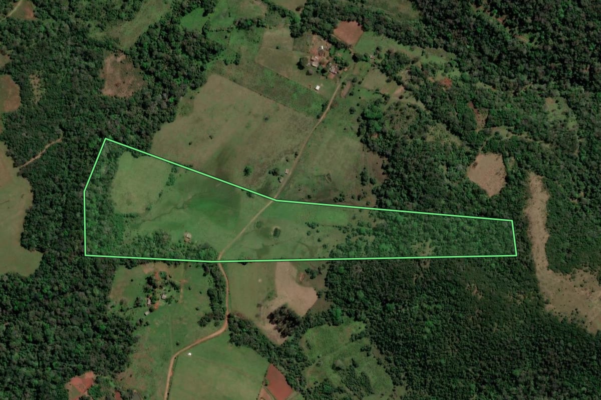 Imagem de satélite do imóvel rural em São Francisco de Assis (RS), com o contorno declarado no CAR desenhado por cima.
