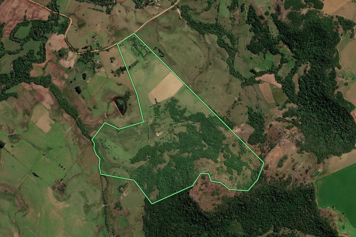 Imagem de satélite do imóvel rural em São Francisco de Assis (RS), com o contorno declarado no CAR desenhado por cima.