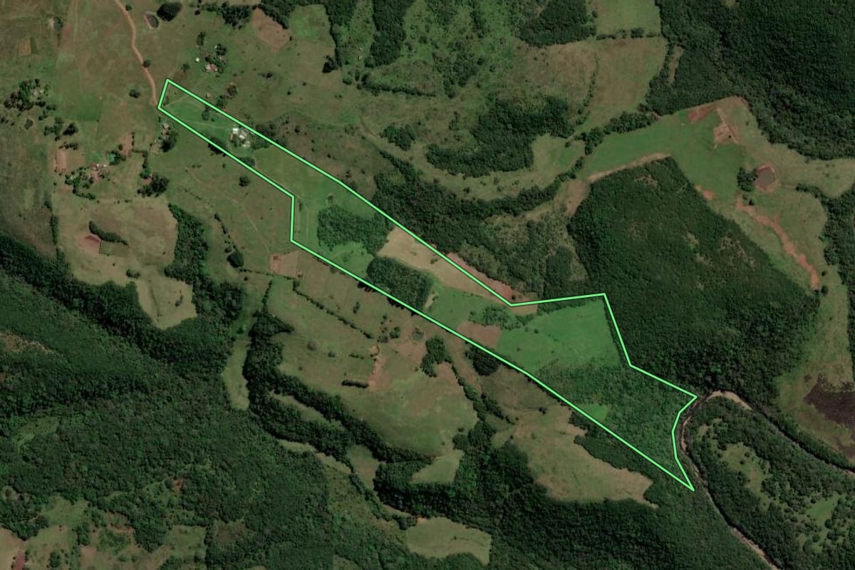 Imagem de satélite do imóvel rural em São Francisco de Assis (RS), com o contorno declarado no CAR desenhado por cima.
