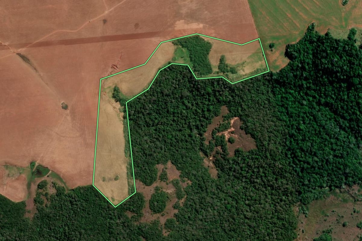 Imagem de satélite do imóvel rural em São Francisco de Assis (RS), com o contorno declarado no CAR desenhado por cima.