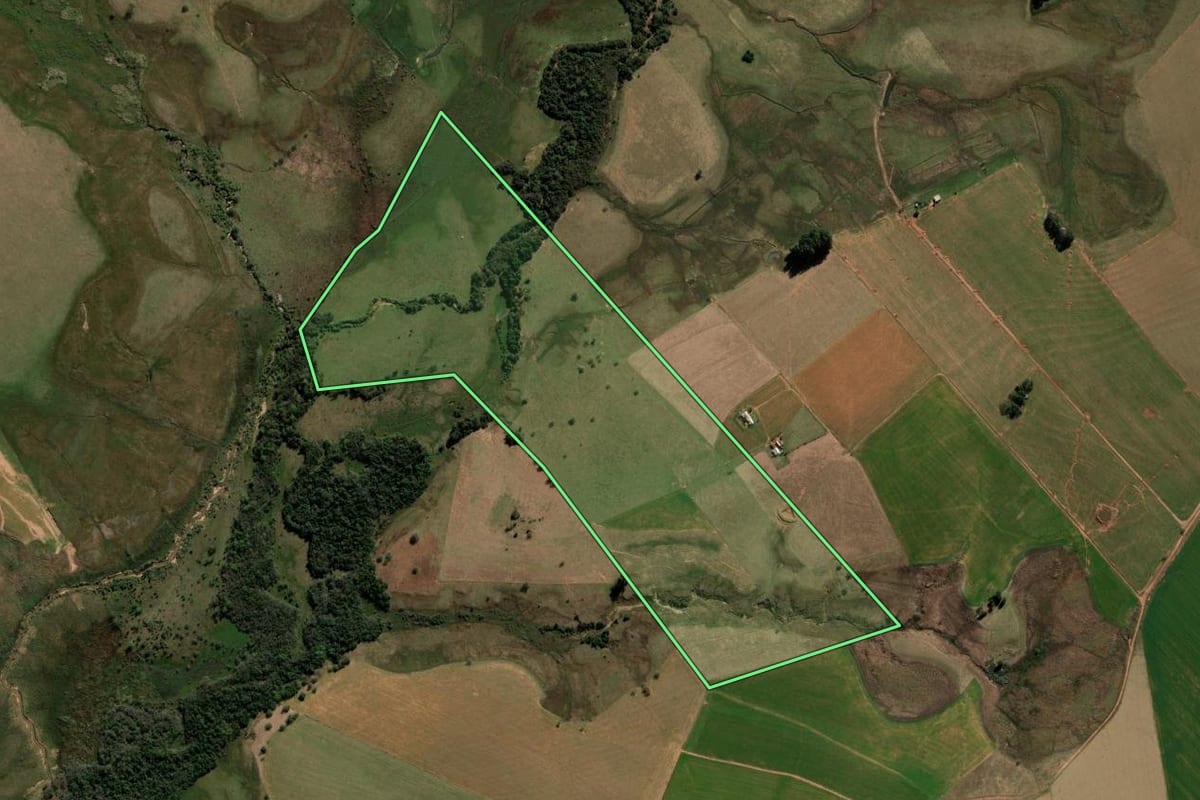 Imagem de satélite do imóvel rural em São Francisco de Assis (RS), com o contorno declarado no CAR desenhado por cima.