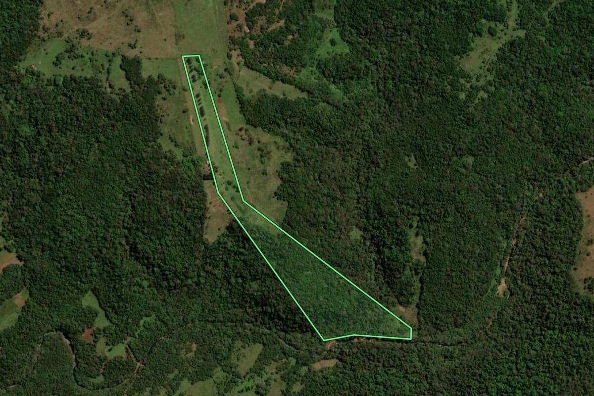Imagem de satélite do imóvel rural em São Francisco de Assis (RS), com o contorno declarado no CAR desenhado por cima.