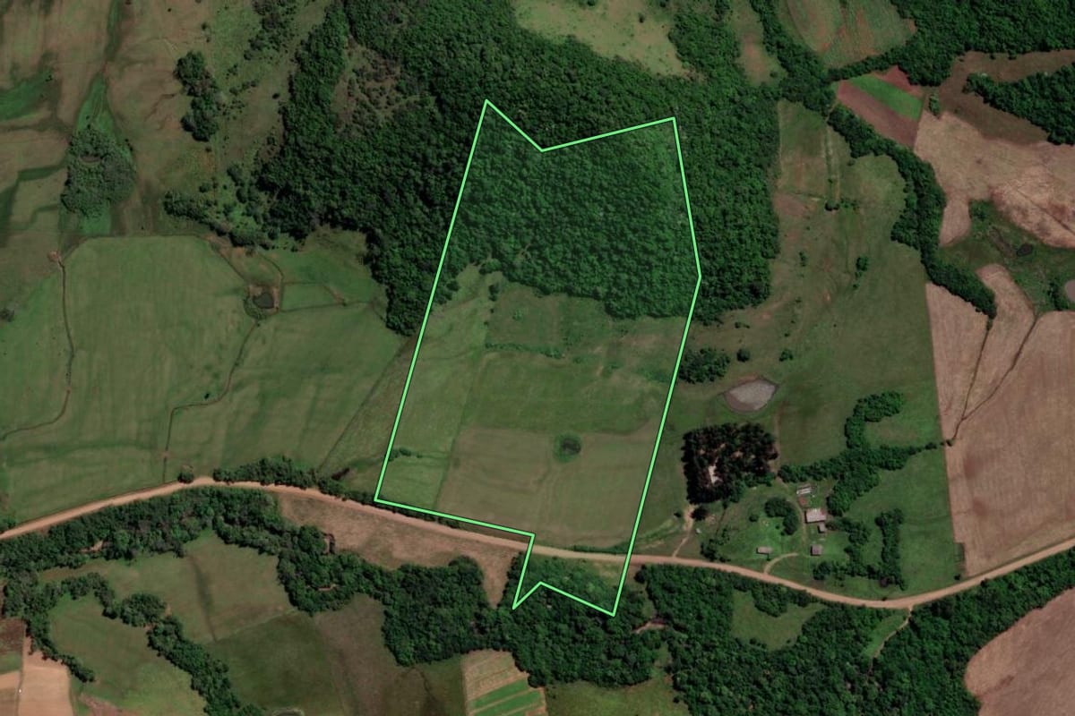 Imagem de satélite do imóvel rural em São Francisco de Assis (RS), com o contorno declarado no CAR desenhado por cima.