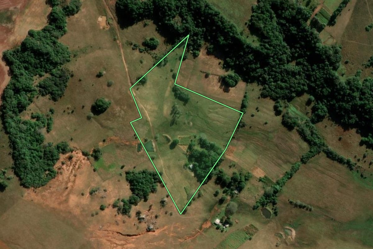 Imagem de satélite do imóvel rural em São Francisco de Assis (RS), com o contorno declarado no CAR desenhado por cima.