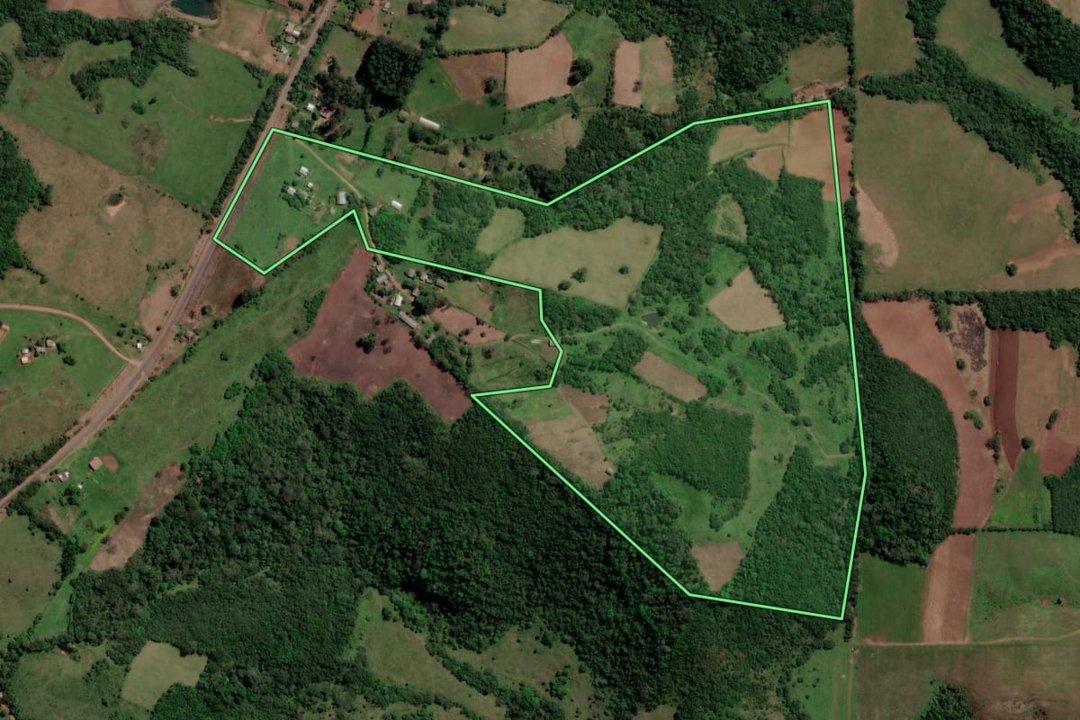 Imagem de satélite do imóvel rural em São Francisco de Assis (RS), com o contorno declarado no CAR desenhado por cima.