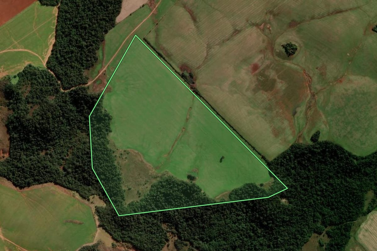 Imagem de satélite do imóvel rural em São Francisco de Assis (RS), com o contorno declarado no CAR desenhado por cima.