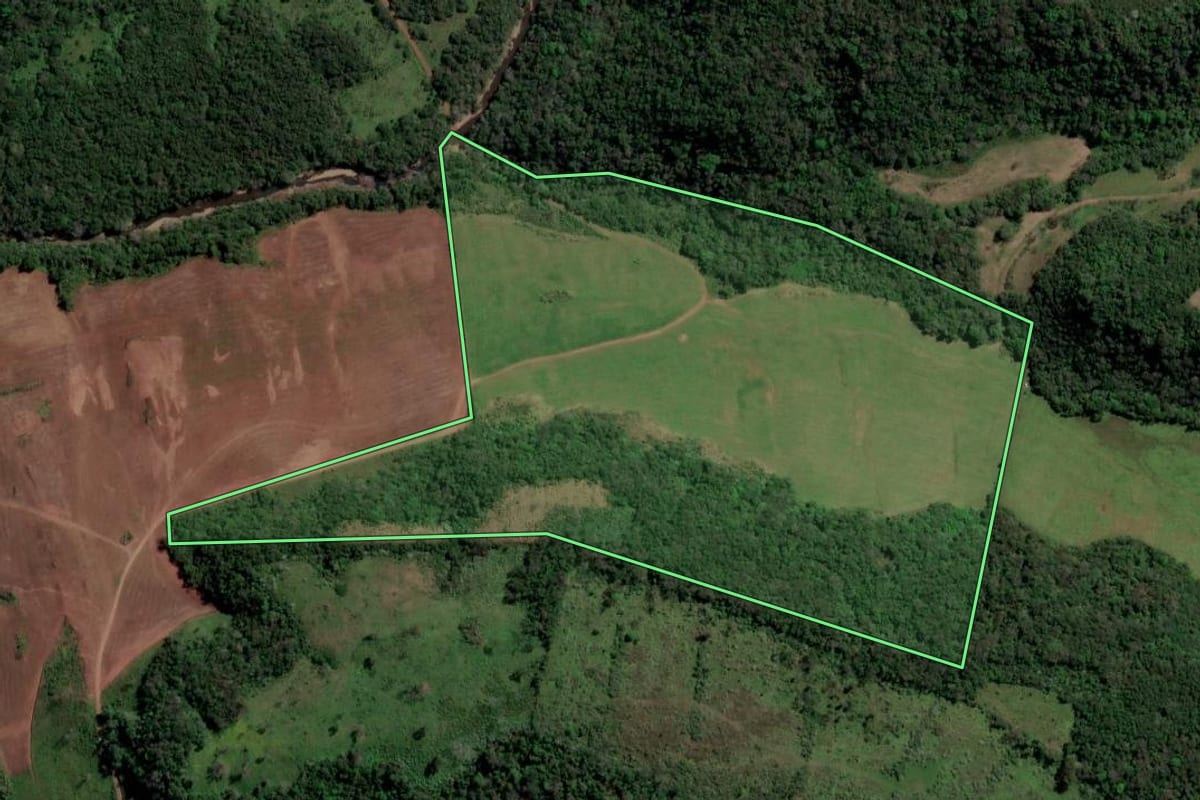 Imagem de satélite do imóvel rural em São Francisco de Assis (RS), com o contorno declarado no CAR desenhado por cima.