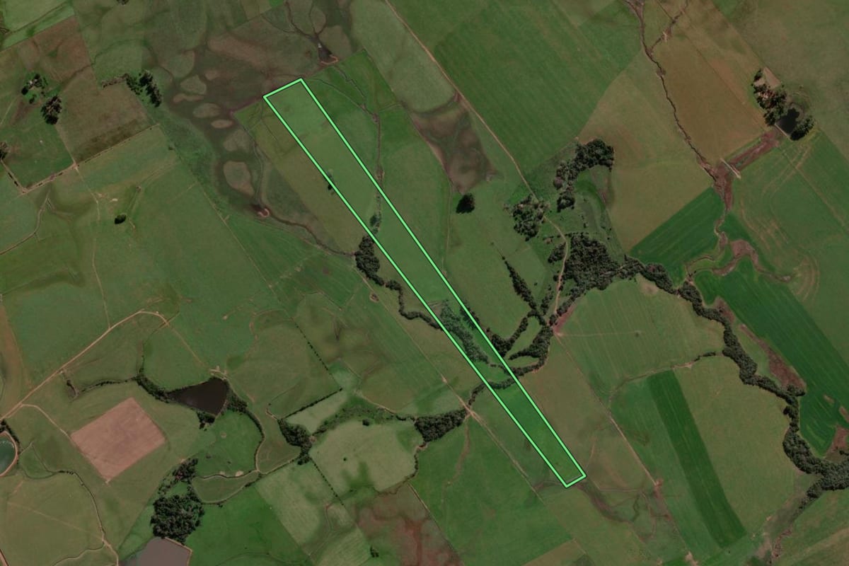 Imagem de satélite do imóvel rural em São Francisco de Assis (RS), com o contorno declarado no CAR desenhado por cima.