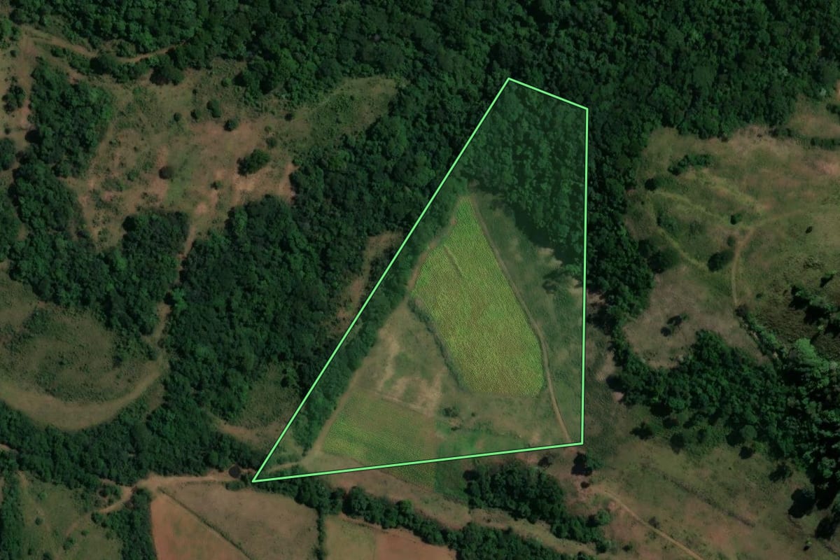 Imagem de satélite do imóvel rural em São Francisco de Assis (RS), com o contorno declarado no CAR desenhado por cima.