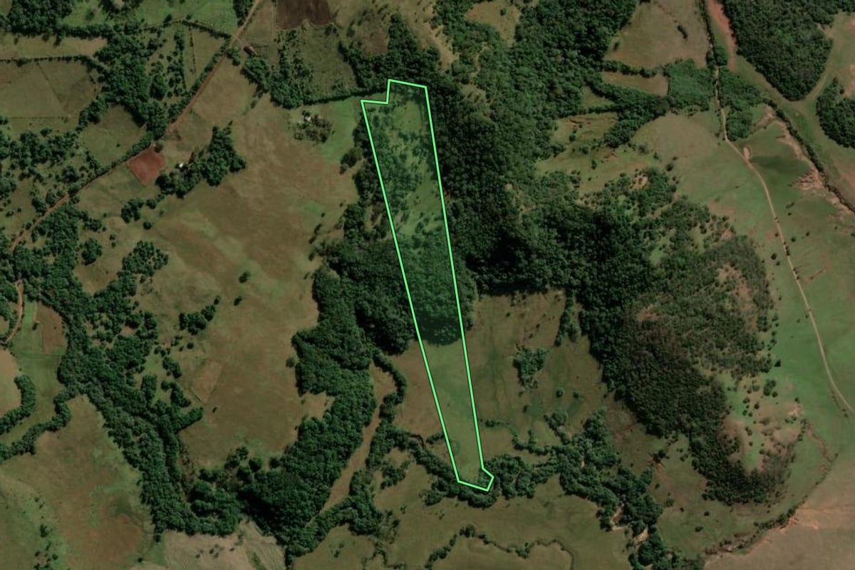 Imagem de satélite do imóvel rural em São Francisco de Assis (RS), com o contorno declarado no CAR desenhado por cima.