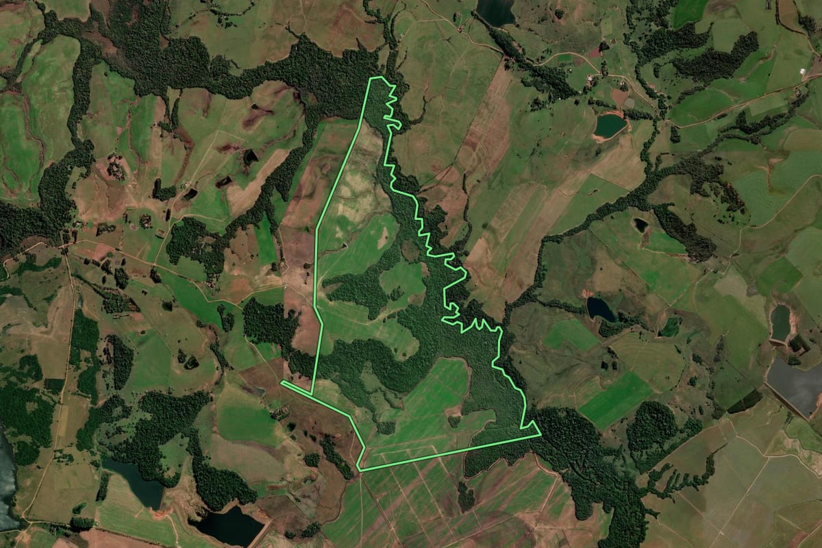 Imagem de satélite do imóvel rural em São Francisco de Assis (RS), com o contorno declarado no CAR desenhado por cima.