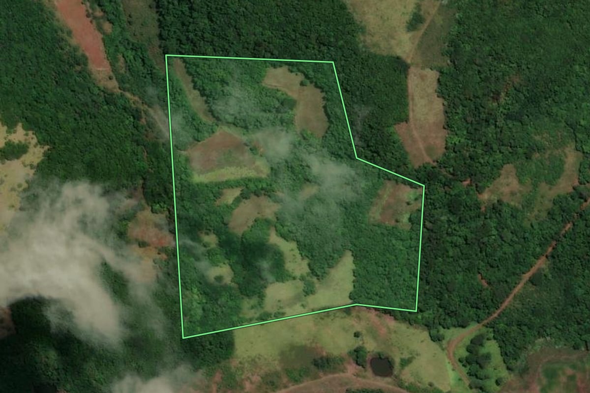 Imagem de satélite do imóvel rural em São Francisco de Assis (RS), com o contorno declarado no CAR desenhado por cima.