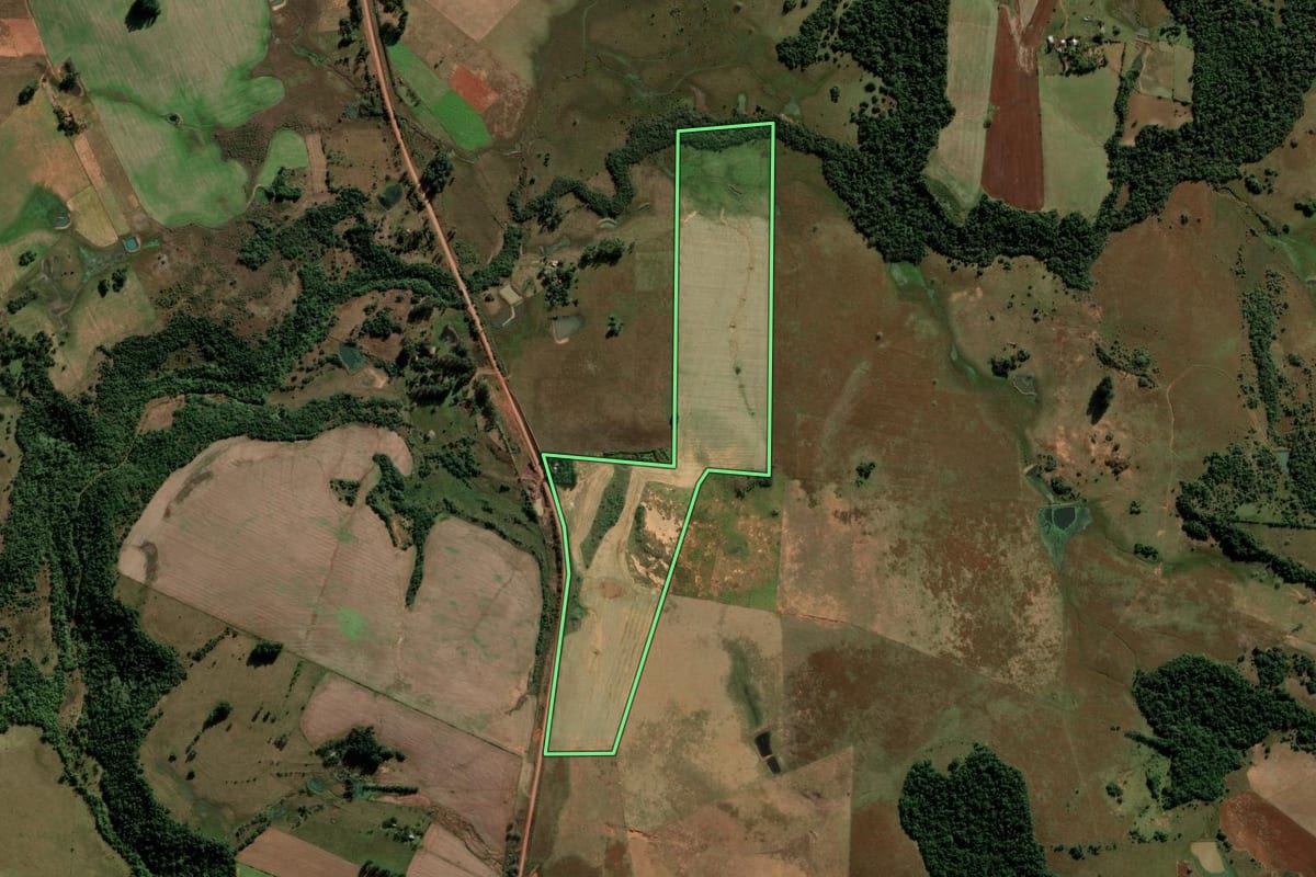 Imagem de satélite do imóvel rural em São Francisco de Assis (RS), com o contorno declarado no CAR desenhado por cima.