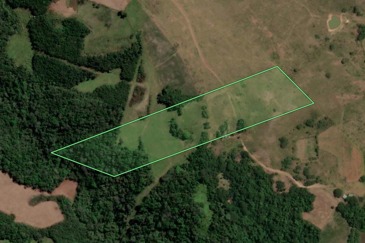 Imagem de satélite do imóvel rural em São Francisco de Assis (RS), com o contorno declarado no CAR desenhado por cima.