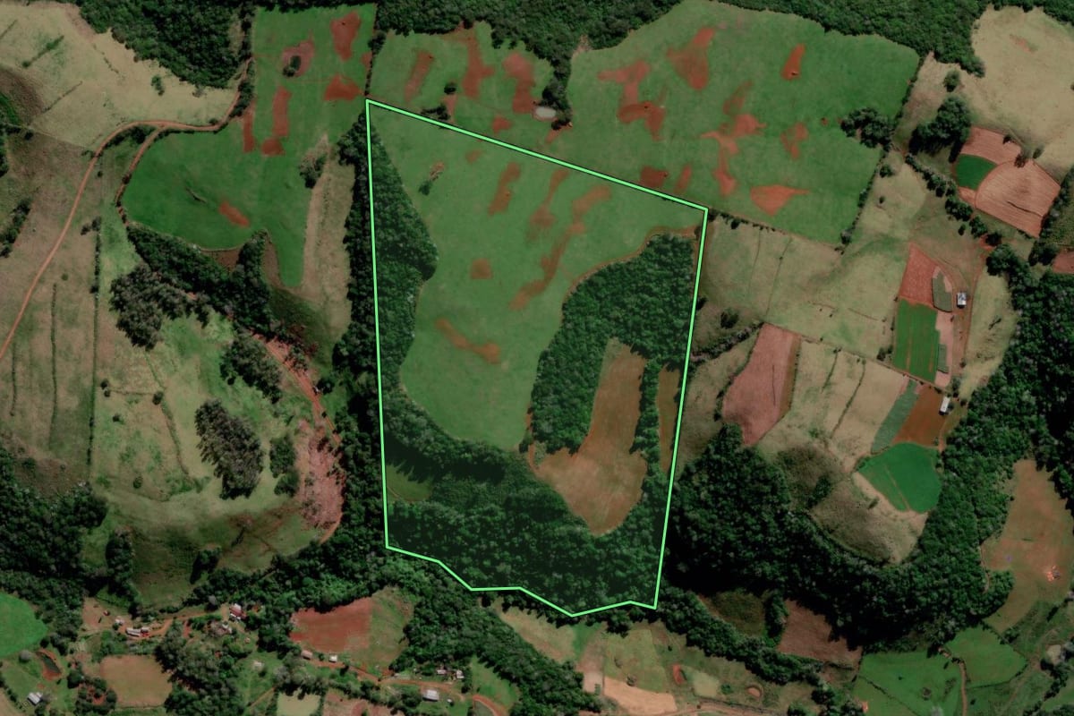 Imagem de satélite do imóvel rural em São Francisco de Assis (RS), com o contorno declarado no CAR desenhado por cima.
