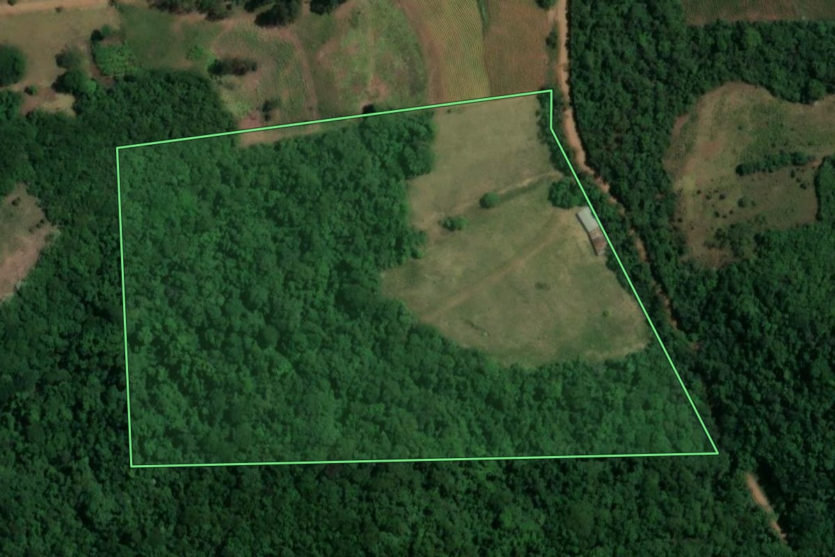 Imagem de satélite do imóvel rural em São Francisco de Assis (RS), com o contorno declarado no CAR desenhado por cima.