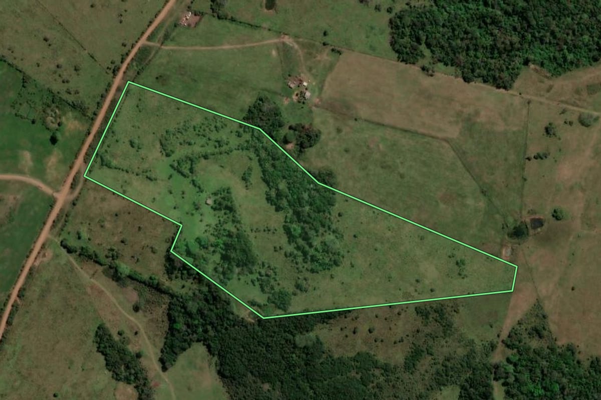Imagem de satélite do imóvel rural em São Francisco de Assis (RS), com o contorno declarado no CAR desenhado por cima.