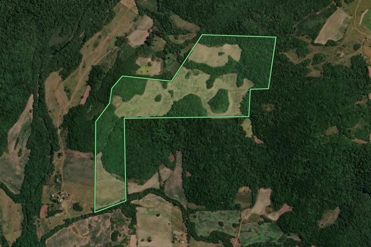 Imagem de satélite do imóvel rural em São Francisco de Assis (RS), com o contorno declarado no CAR desenhado por cima.