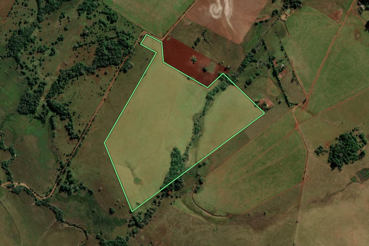 Imagem de satélite do imóvel rural em São Francisco de Assis (RS), com o contorno declarado no CAR desenhado por cima.