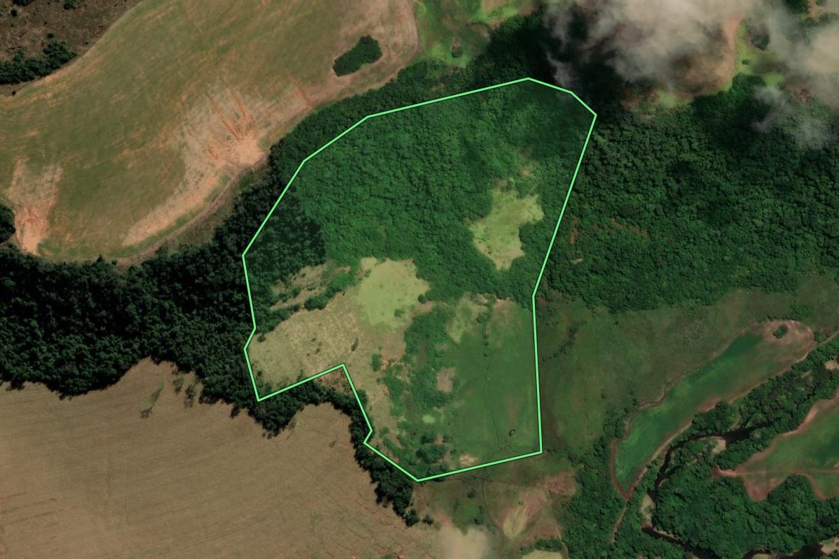 Imagem de satélite do imóvel rural em São Francisco de Assis (RS), com o contorno declarado no CAR desenhado por cima.