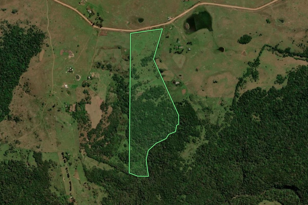 Imagem de satélite do imóvel rural em São Francisco de Assis (RS), com o contorno declarado no CAR desenhado por cima.