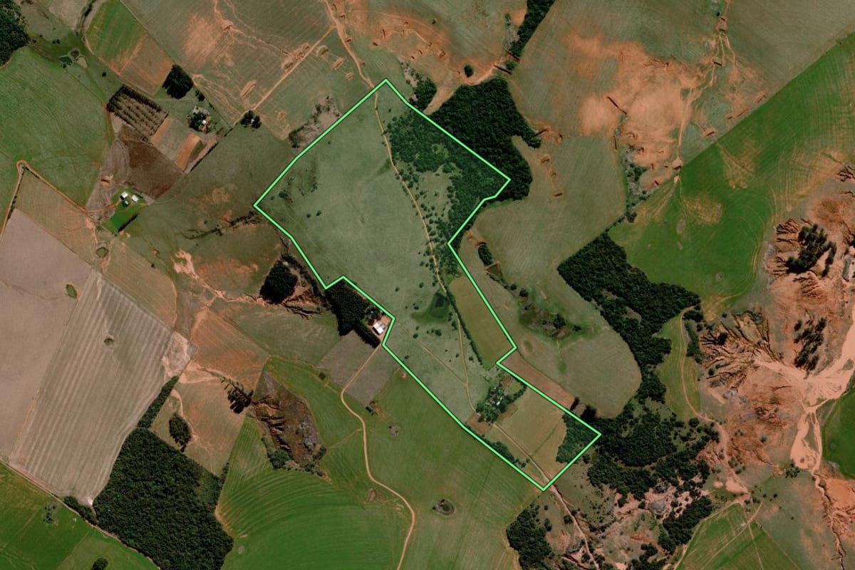 Imagem de satélite do imóvel rural em São Francisco de Assis (RS), com o contorno declarado no CAR desenhado por cima.