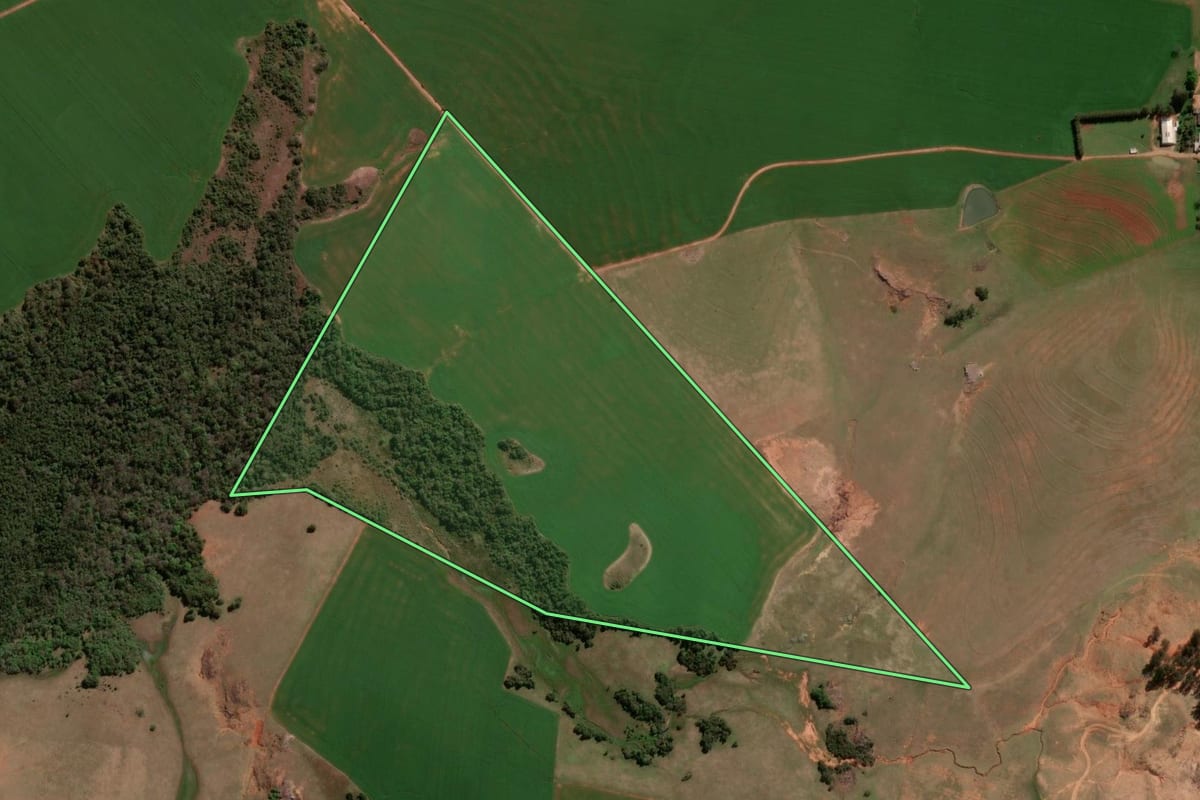 Imagem de satélite do imóvel rural em São Francisco de Assis (RS), com o contorno declarado no CAR desenhado por cima.