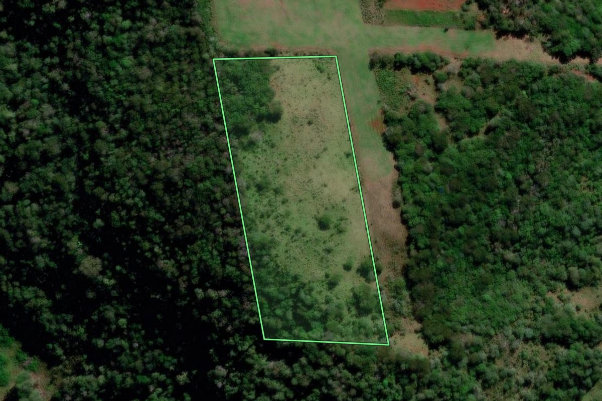 Imagem de satélite do imóvel rural em São Francisco de Assis (RS), com o contorno declarado no CAR desenhado por cima.