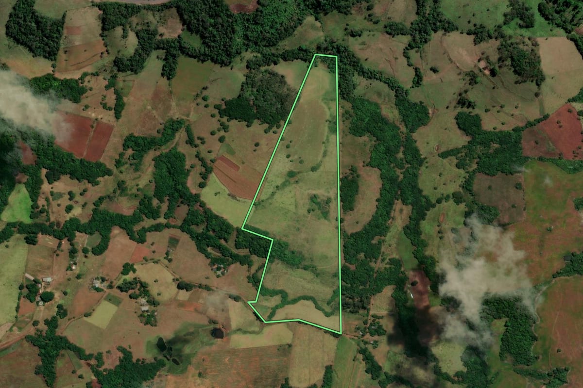 Imagem de satélite do imóvel rural em São Francisco de Assis (RS), com o contorno declarado no CAR desenhado por cima.