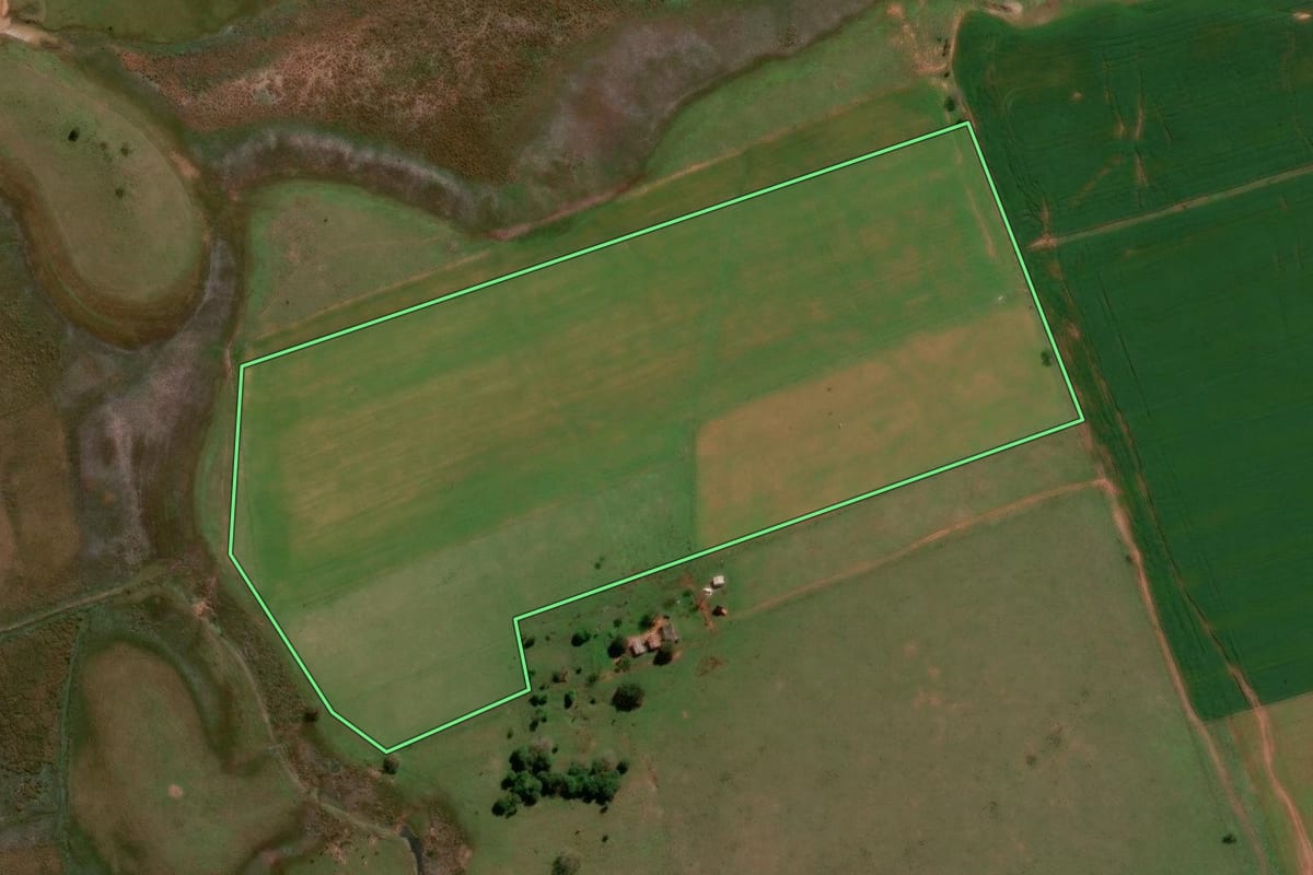 Imagem de satélite do imóvel rural em São Francisco de Assis (RS), com o contorno declarado no CAR desenhado por cima.