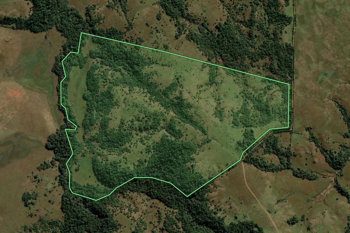 Imagem de satélite do imóvel rural em São Francisco de Assis (RS), com o contorno declarado no CAR desenhado por cima.