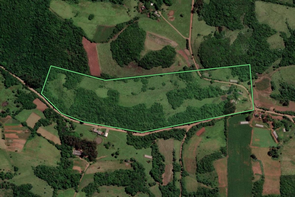 Imagem de satélite do imóvel rural em São Francisco de Assis (RS), com o contorno declarado no CAR desenhado por cima.