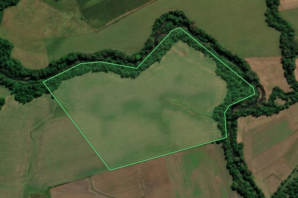 Imagem de satélite do imóvel rural em São Francisco de Assis (RS), com o contorno declarado no CAR desenhado por cima.