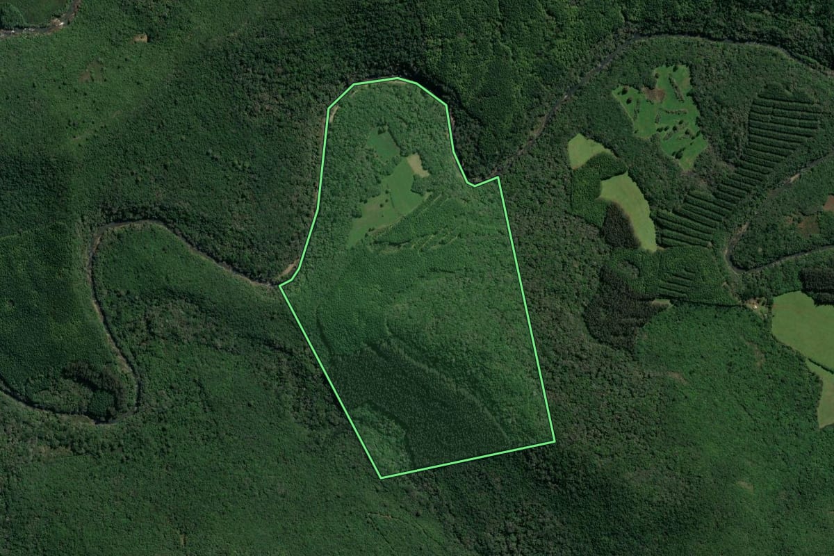 Imagem de satélite do imóvel rural em São Francisco de Paula (RS), com o contorno declarado no CAR desenhado por cima.