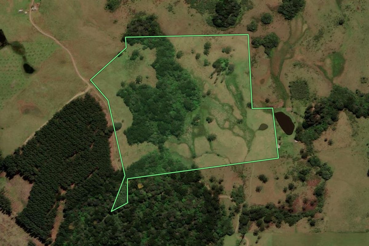 Imagem de satélite do imóvel rural em Caxias do Sul (RS), com o contorno declarado no CAR desenhado por cima.