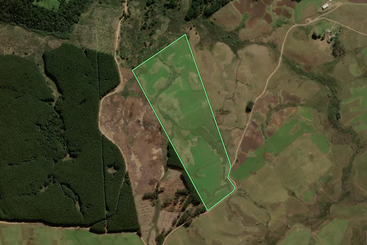 Imagem de satélite do imóvel rural em São Francisco de Paula (RS), com o contorno declarado no CAR desenhado por cima.