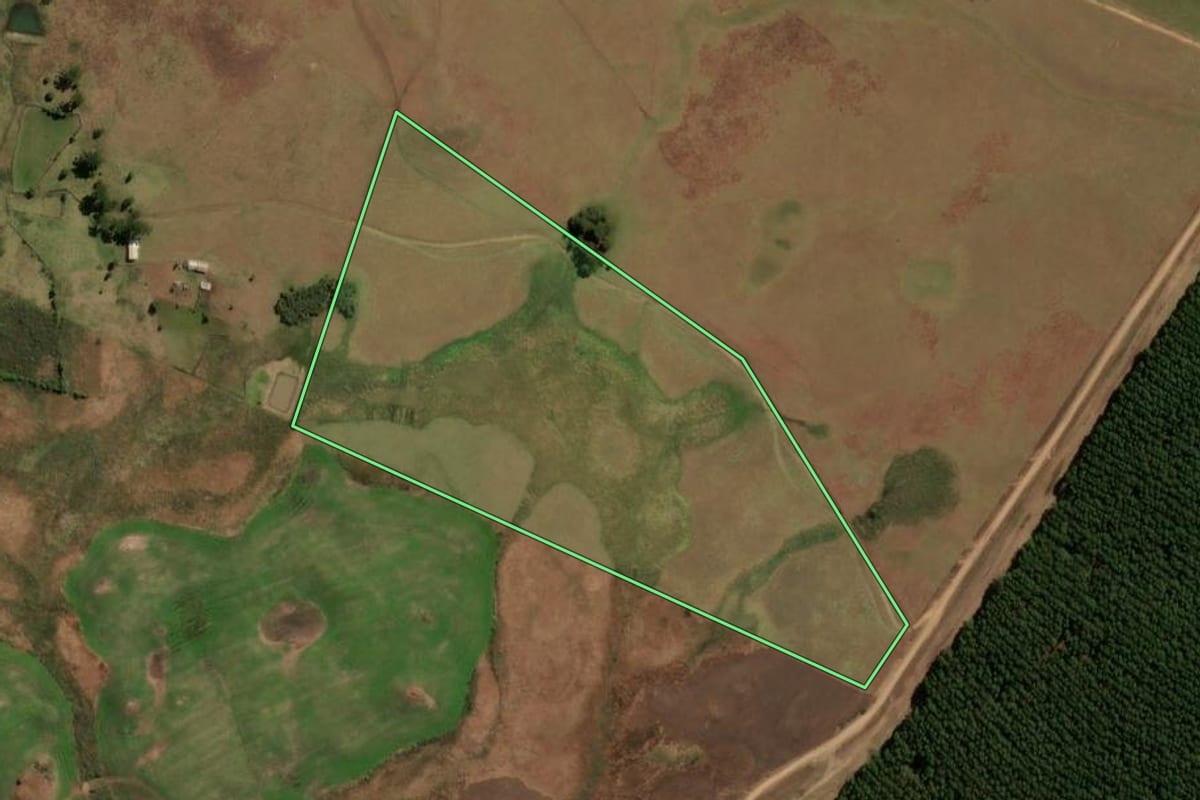 Imagem de satélite do imóvel rural em São Francisco de Paula (RS), com o contorno declarado no CAR desenhado por cima.