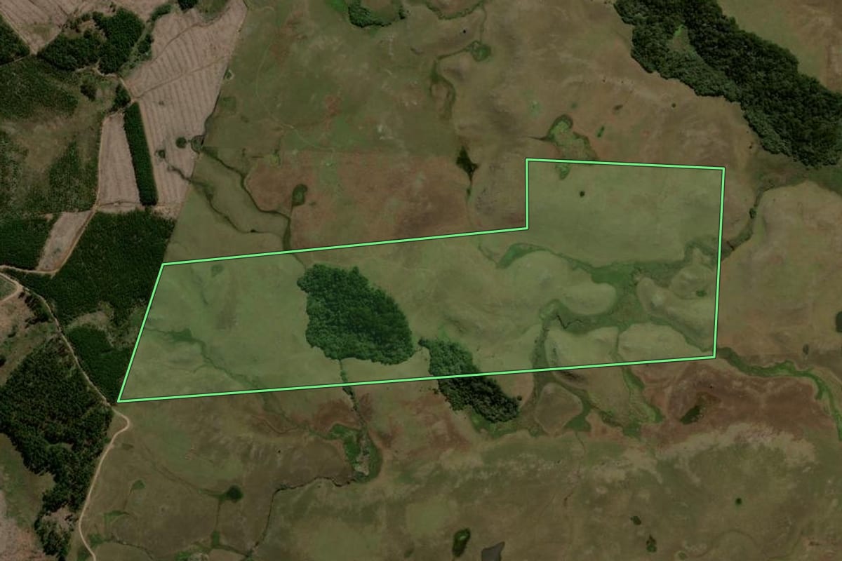 Imagem de satélite do imóvel rural em São Francisco de Paula (RS), com o contorno declarado no CAR desenhado por cima.