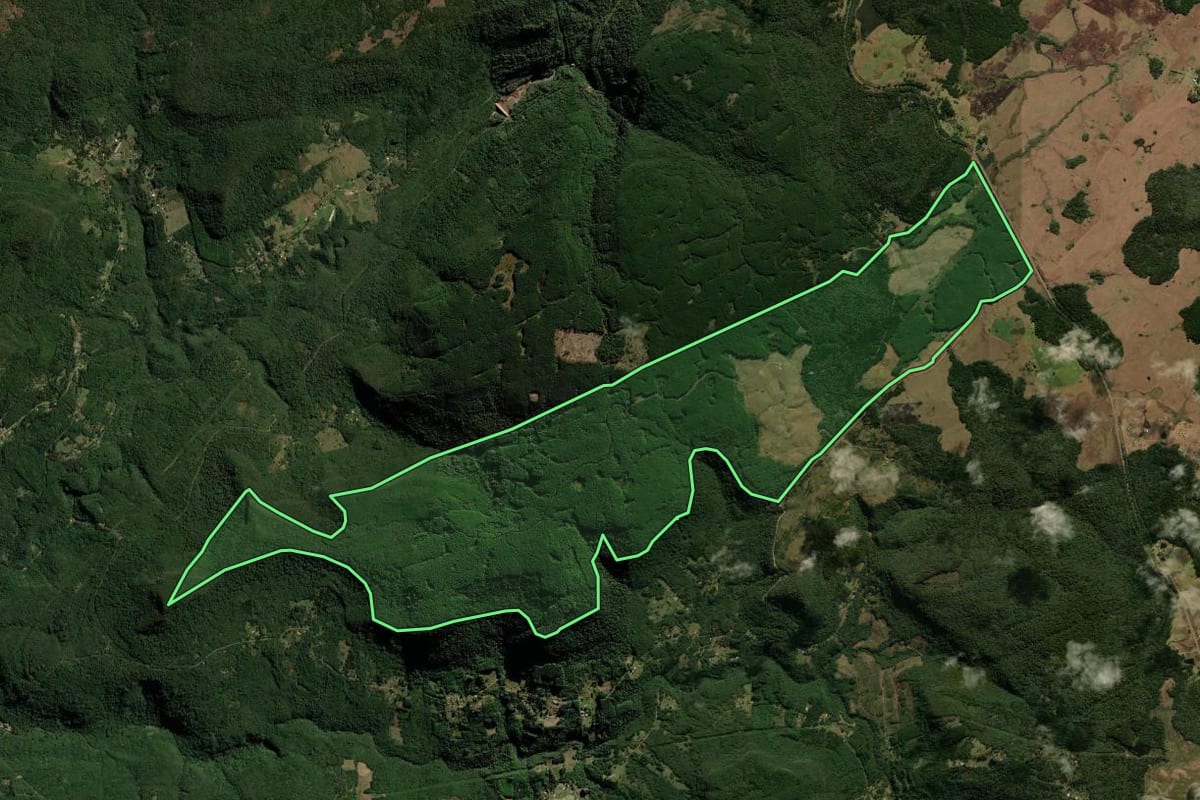 Imagem de satélite do imóvel rural em São Francisco de Paula (RS), com o contorno declarado no CAR desenhado por cima.
