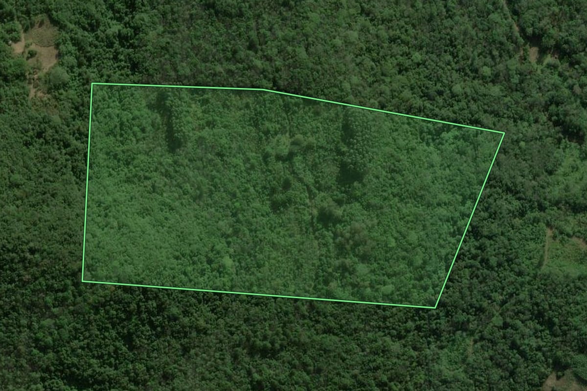 Imagem de satélite do imóvel rural em São Francisco de Paula (RS), com o contorno declarado no CAR desenhado por cima.