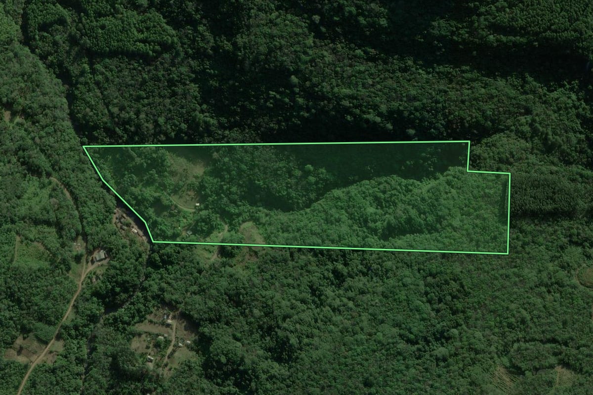 Imagem de satélite do imóvel rural em São Francisco de Paula (RS), com o contorno declarado no CAR desenhado por cima.