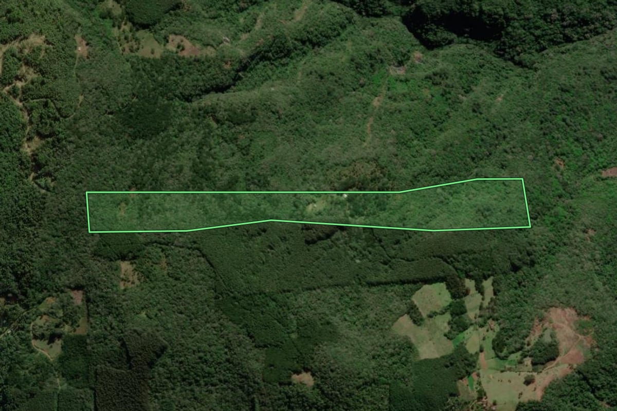 Imagem de satélite do imóvel rural em São Francisco de Paula (RS), com o contorno declarado no CAR desenhado por cima.
