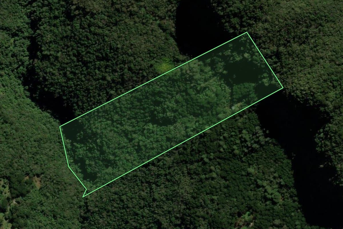 Imagem de satélite do imóvel rural em São Francisco de Paula (RS), com o contorno declarado no CAR desenhado por cima.