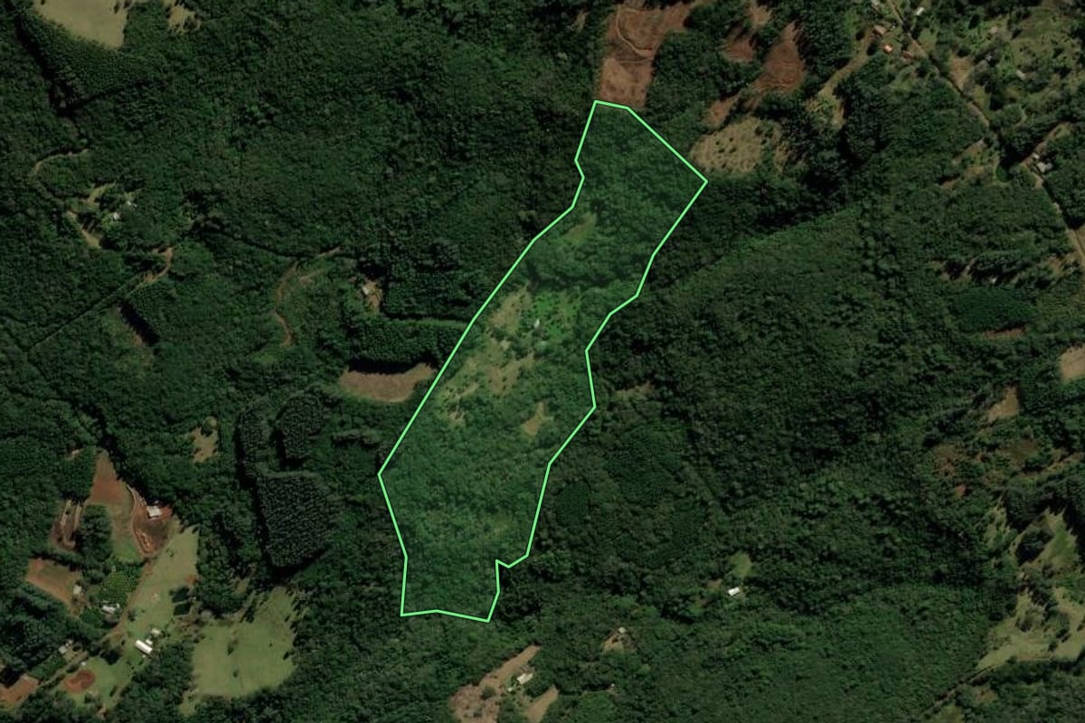 Imagem de satélite do imóvel rural em São Francisco de Paula (RS), com o contorno declarado no CAR desenhado por cima.