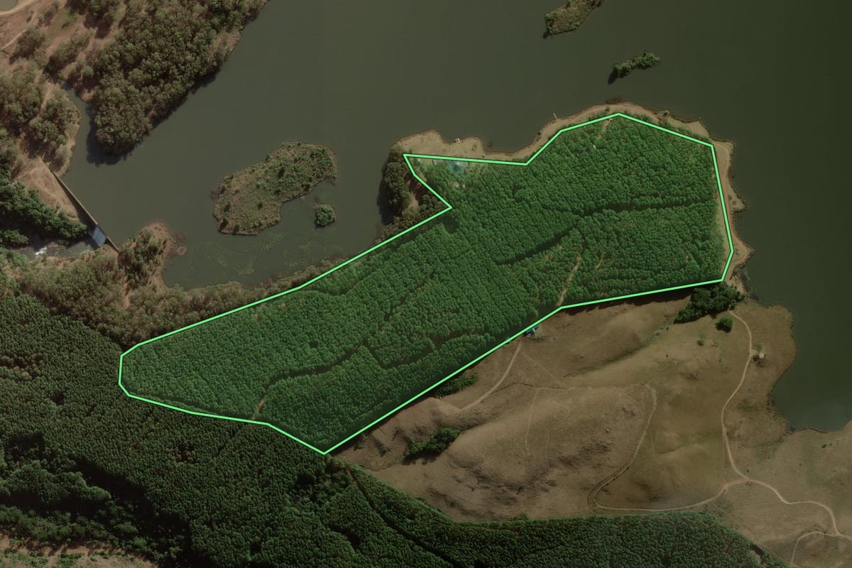 Imagem de satélite do imóvel rural em São Francisco de Paula (RS), com o contorno declarado no CAR desenhado por cima.