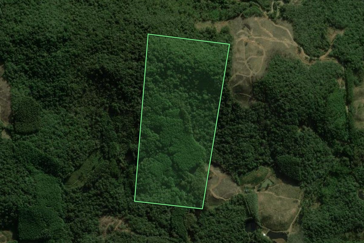 Imagem de satélite do imóvel rural em São Francisco de Paula (RS), com o contorno declarado no CAR desenhado por cima.