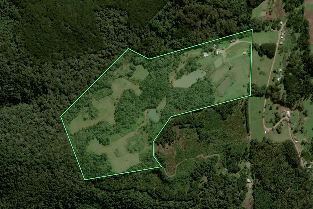 Imagem de satélite do imóvel rural em São Francisco de Paula (RS), com o contorno declarado no CAR desenhado por cima.