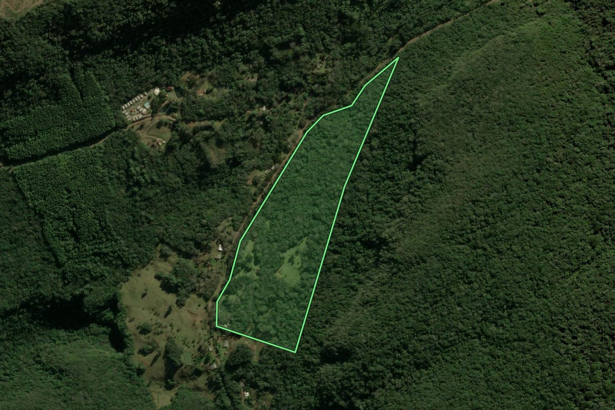 Imagem de satélite do imóvel rural em São Francisco de Paula (RS), com o contorno declarado no CAR desenhado por cima.