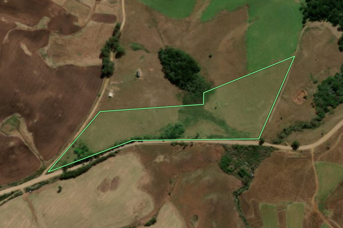 Imagem de satélite do imóvel rural em São Francisco de Paula (RS), com o contorno declarado no CAR desenhado por cima.