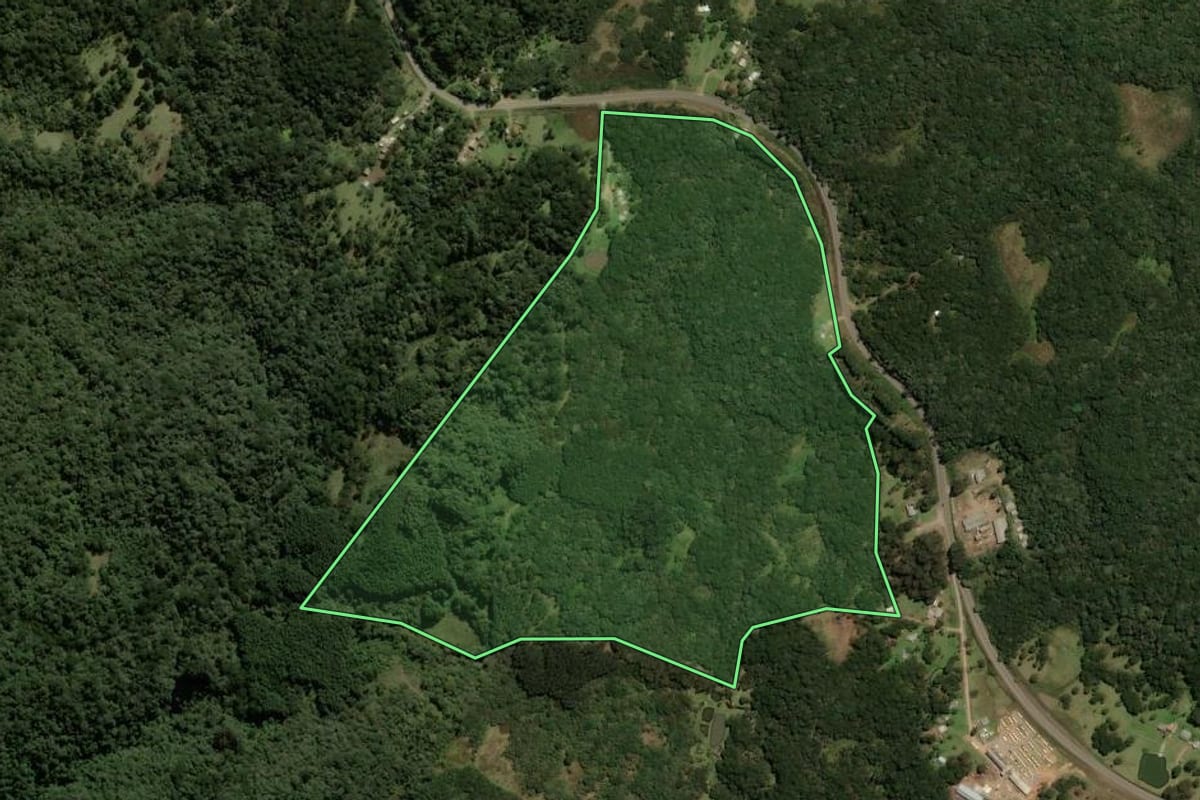 Imagem de satélite do imóvel rural em São Francisco de Paula (RS), com o contorno declarado no CAR desenhado por cima.
